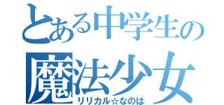 とある中学生の魔法少女（リリカル☆なのは）