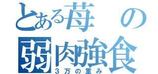 とある苺の弱肉強食（３万の重み）