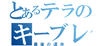 とあるテラのキーブレード墓場（最後の運命）