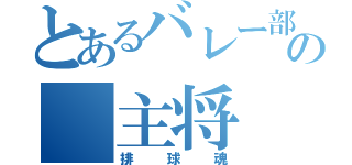 とあるバレー部の 主将（排球魂）