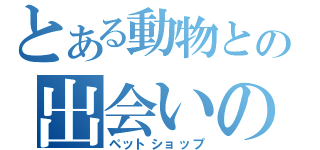 とある動物との出会いの場（ペットショップ）