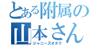 とある附属の山本さん（ジャニーズオタク）