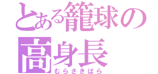 とある籠球の高身長（むらさきばら）