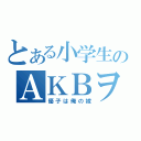 とある小学生のＡＫＢヲタ（優子は俺の嫁）