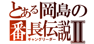 とある岡島の番長伝説Ⅱ（ギャングリーダー）