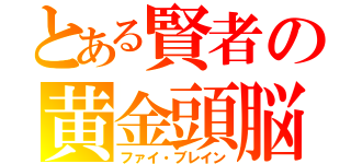 とある賢者の黄金頭脳（ファイ・ブレイン）