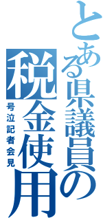 とある県議員の税金使用（号泣記者会見）