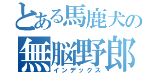 とある馬鹿犬の無脳野郎（インデックス）