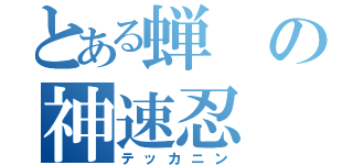 とある蝉の神速忍（テッカニン）