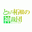 とある柘榴の神裁団（ゴッドノウズ）