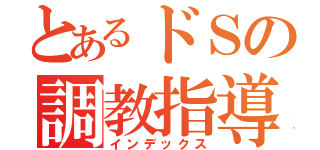 とあるドＳの調教指導（インデックス）