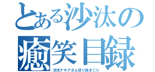 とある沙汰の癒笑目録（沙汰ナキアさん切り抜きＣｈ）