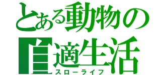 とある動物の自適生活（スローライフ）