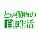 とある動物の自適生活（スローライフ）