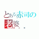 とある赤司の老婆（彭小寒）