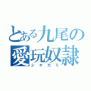 とある九尾の愛玩奴隷（シキガミ）