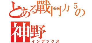 とある戰鬥力５の神野（インデックス）