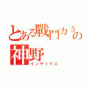 とある戰鬥力５の神野（インデックス）