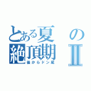 とある夏の絶頂期Ⅱ（後からドン底）