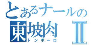 とあるナールの東坡肉Ⅱ（トンポーロ）