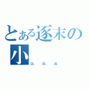 とある逐末の小說（偽與真）