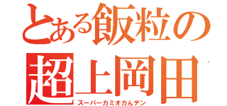 とある飯粒の超上岡田（スーパーカミオカんデン）