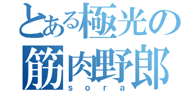 とある極光の筋肉野郎（ｓｏｒａ）