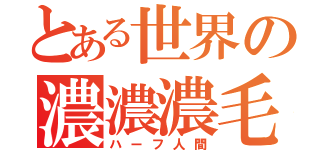 とある世界の濃濃濃毛（ハーフ人間）