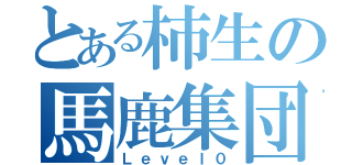 とある柿生の馬鹿集団（Ｌｅｖｅｌ０）