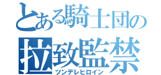 とある騎士団の拉致監禁（ツンデレヒロイン）