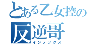 とある乙女控の反逆哥（インデックス）