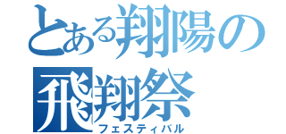 とある翔陽の飛翔祭（フェスティバル）