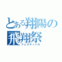 とある翔陽の飛翔祭（フェスティバル）