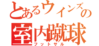 とあるウインズの室内蹴球（フットサル）