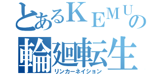 とあるＫＥＭＵの輪廻転生（リンカーネイション）