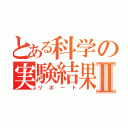 とある科学の実験結果Ⅱ（リポート）