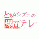 とあるシズエの爆音テレビ（家が壊れる・・・）