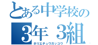 とある中学校の３年３組（ホリエチュウガッコウ）