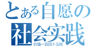 とある自愿の社会实践（价值一百四十五哦）