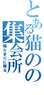 とある猫のの集会所（陽だまりに限る）