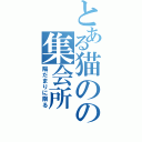 とある猫のの集会所（陽だまりに限る）