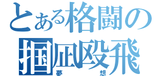 とある格闘の掴凪殴飛（夢想）