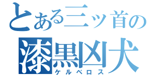 とある三ッ首の漆黒凶犬（ケルベロス）