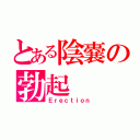 とある陰嚢の勃起（Ｅｒｅｃｔｉｏｎ）