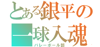 とある銀平の一球入魂（バレーボール部）