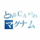 とあるＣＡＳ主のマグナム様（）