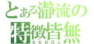 とある瀞流の特徴皆無（ただの凡人）