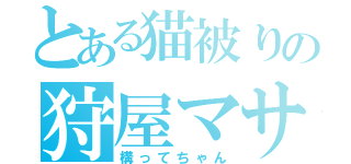 とある猫被りの狩屋マサキ（構ってちゃん）