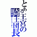 とある王宮の騎士団長（ナイトリーダー）