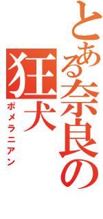 とある奈良の狂犬（ポメラニアン）